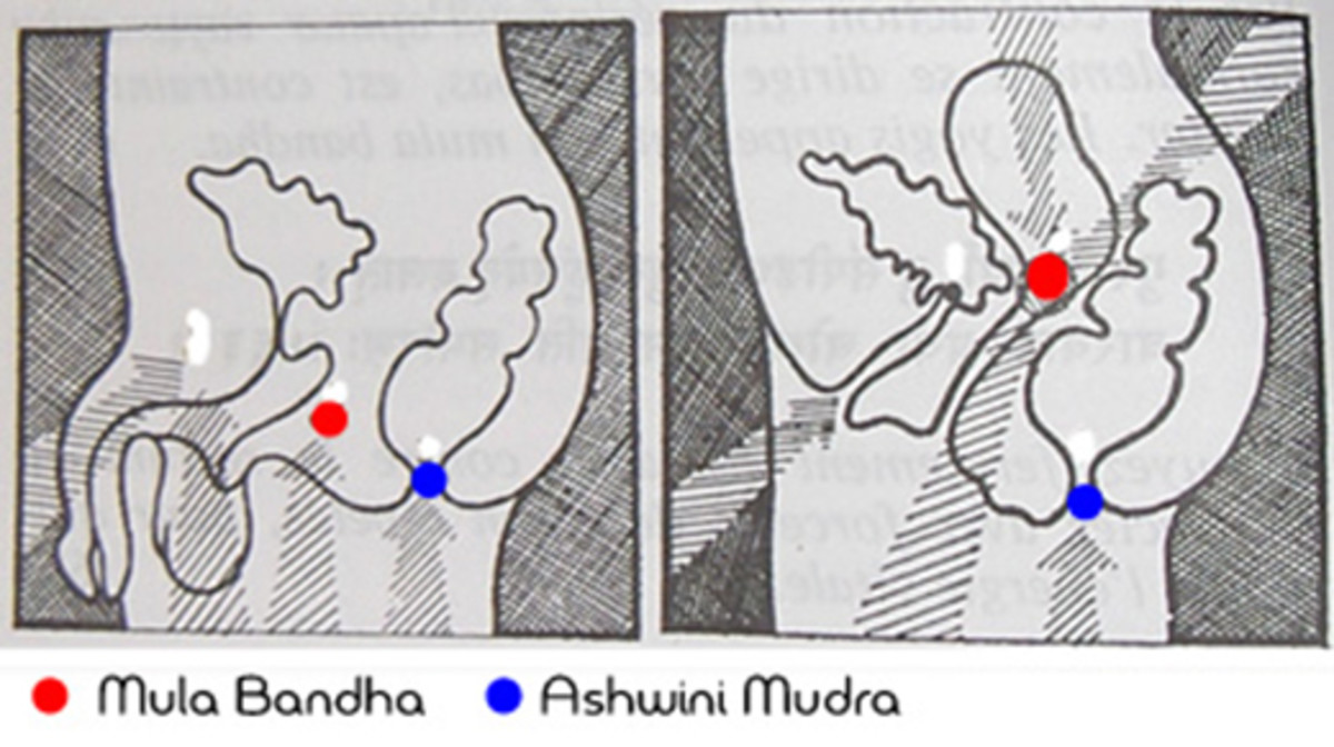 Mudras: Ancient Hand Gestures for Holistic Well-being