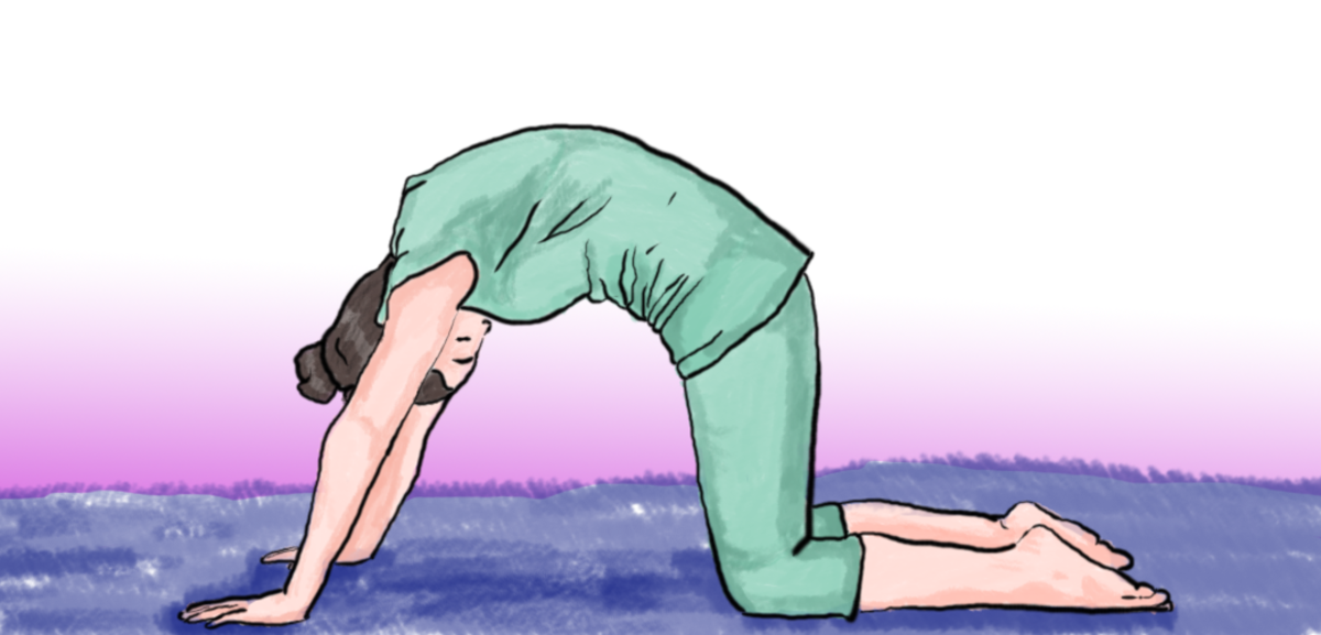 The Cause & Treatment of Desiccated Discs HubPages