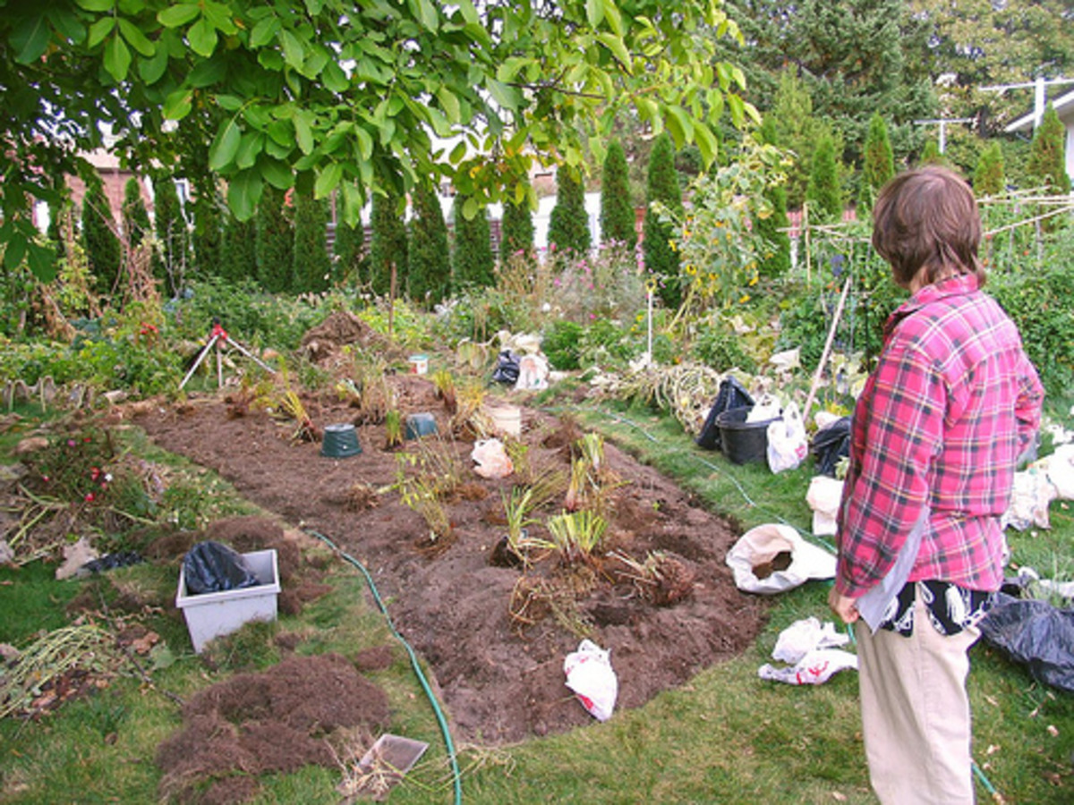 Fertile Garden Soil by Composting Worms