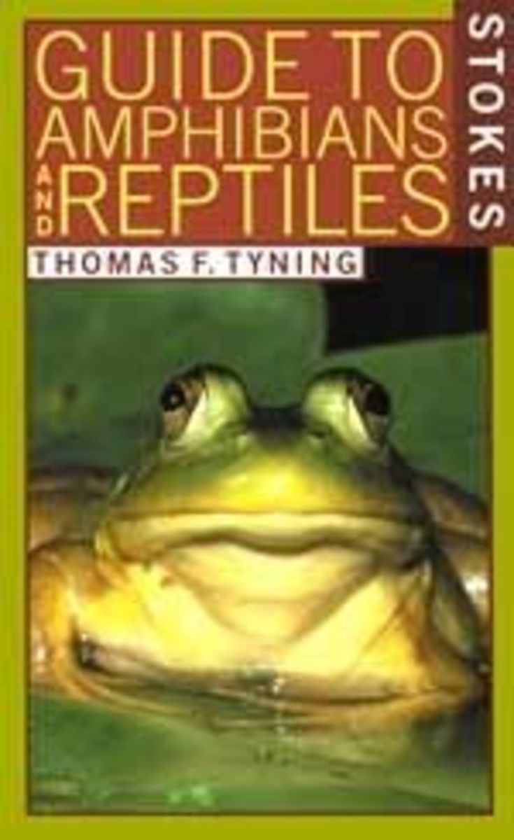 Stokes Guide to Amphibians and Reptiles Book