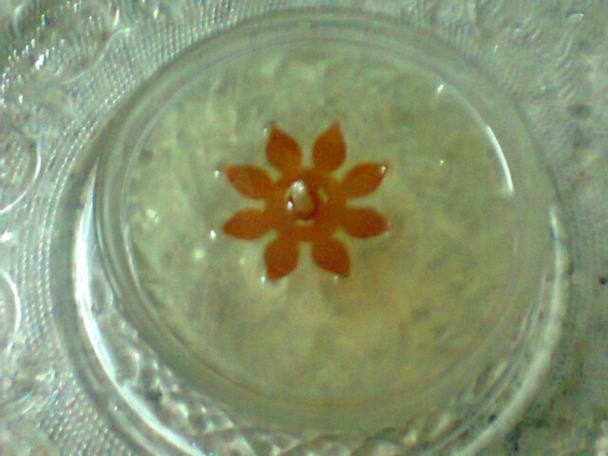 Bowl with floating flower