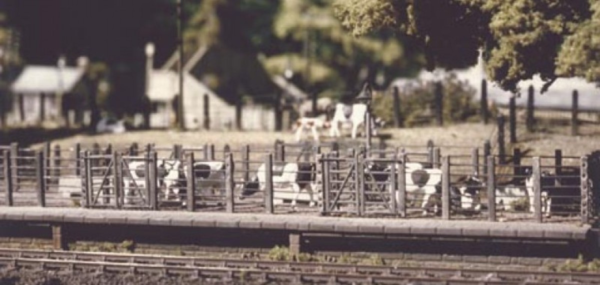 This is the Ratio Cattle Dock that comes in kit form. I had one on 'Thoraldby'. For the 'Deanthorpe' goods depot and cattle market I'll marry two together for a train of up to five/six wagons, with a yard alongside for more pens..