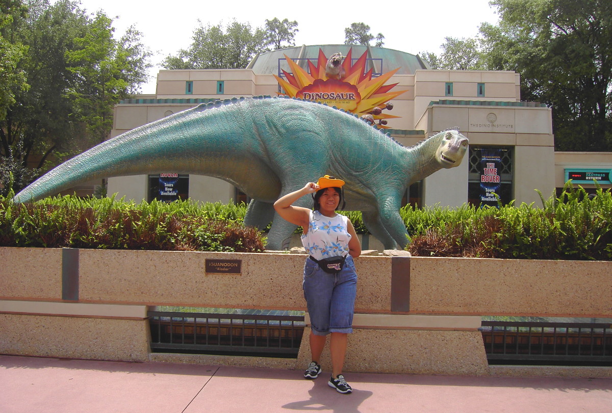 Whilst taking a picture at Disney's Animal Kingdom, I model one of the ideal examples of good theme park clothing: sleevelss top, brimmed hat, water shoes and shorts.