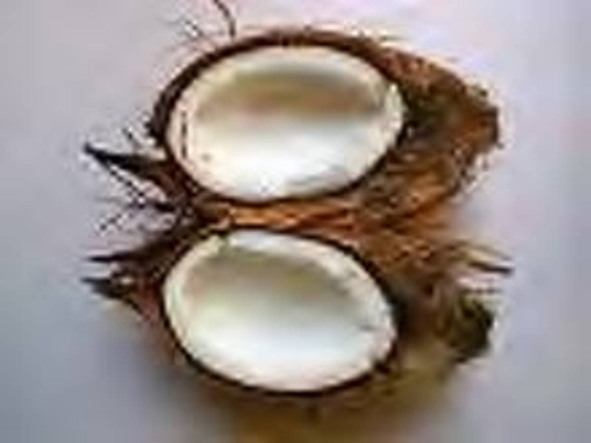 philippine-coconuts-the-copra-making-process