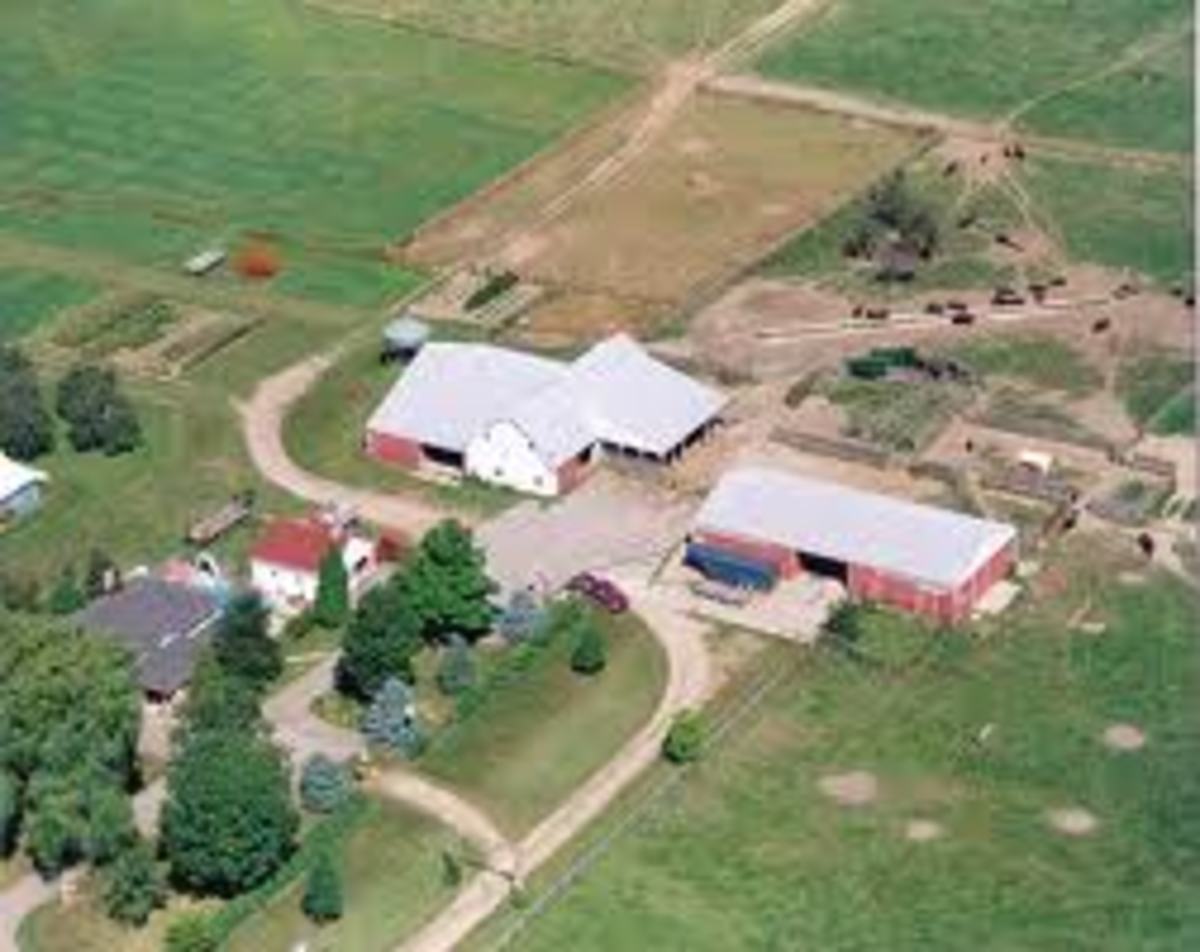 grouping-and-layout-of-farm-buildings-in-countryside
