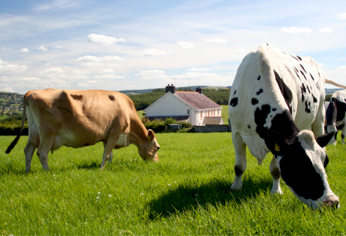 Grouping And Layout Of Farm Buildings In Countryside Hubpages 3263