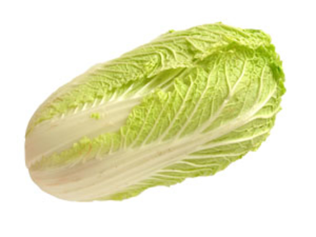 Chinese Cabbage  (Bok Choy)