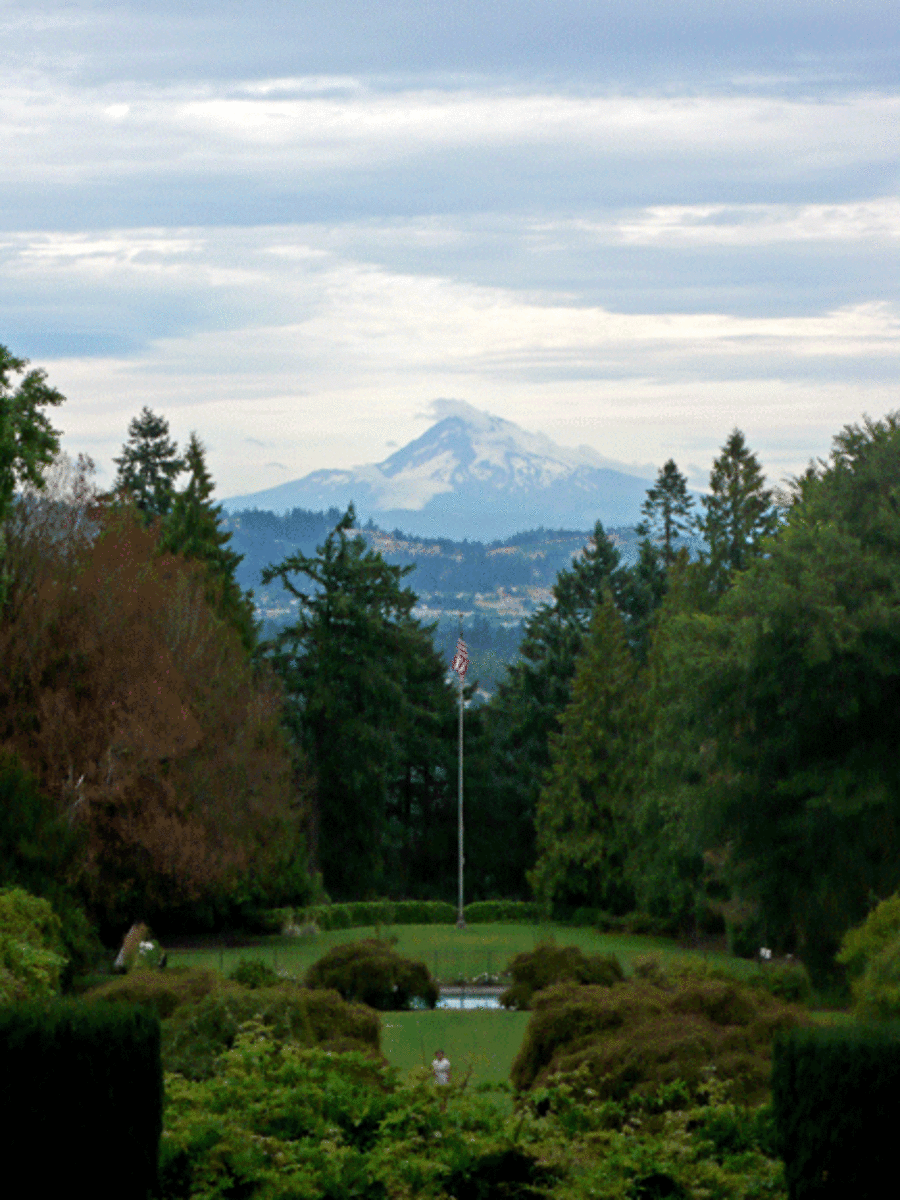 The Formal Gardens at Lewis and Clark - Mt Hood in the Background