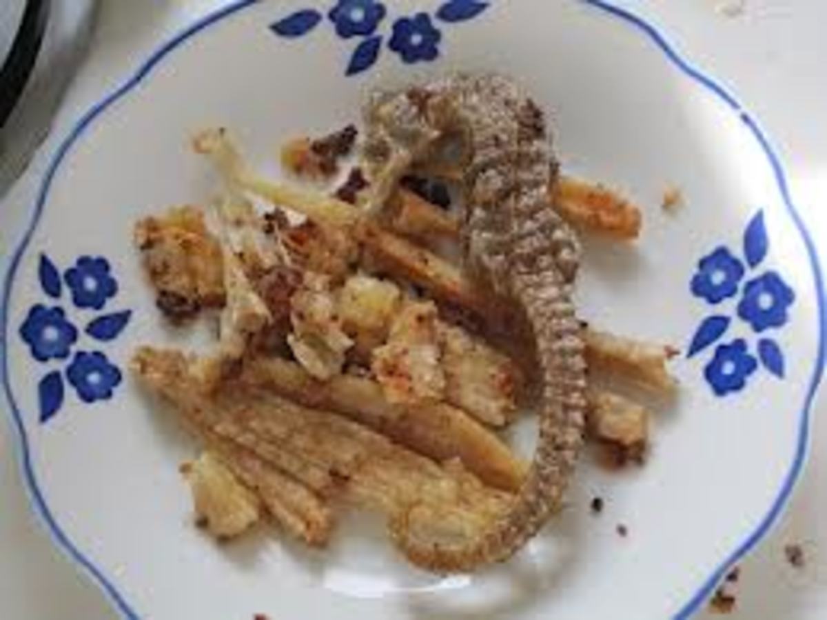Kentucky Fried Sea-Horse