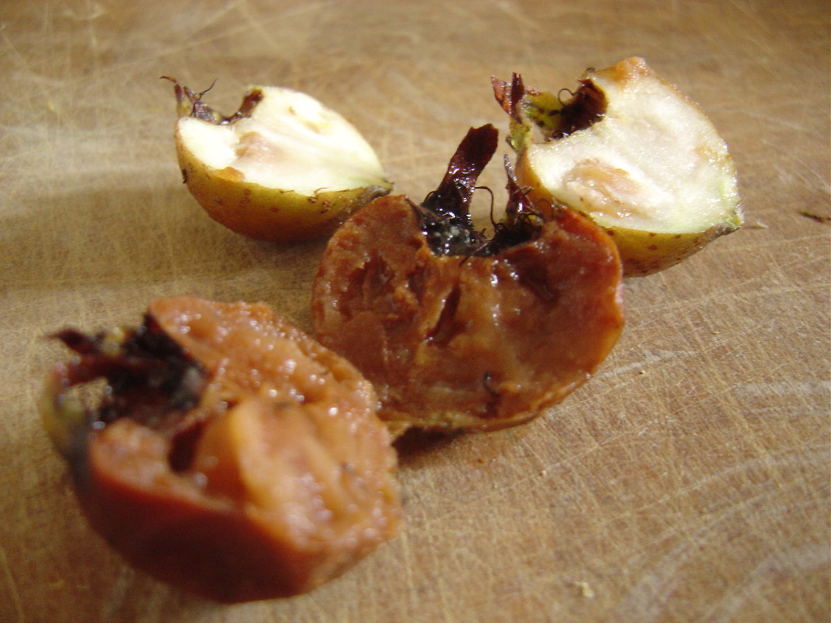 Medlars are ripe when soft and brown