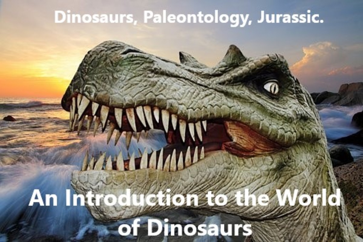 An Introduction to The World of Dinosaurs