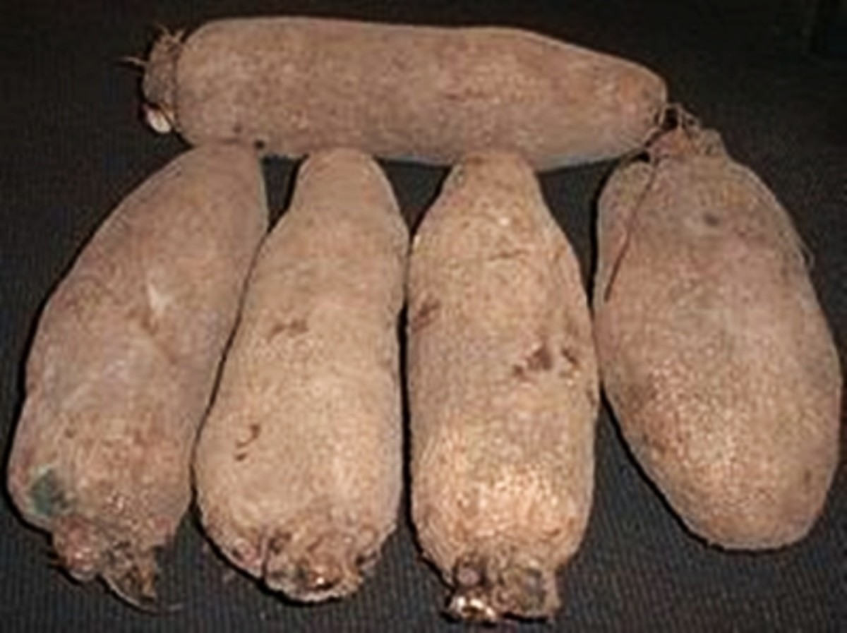Yams By heckyes1777, source: Photobucket - Comparison between yams and sweet potatoes