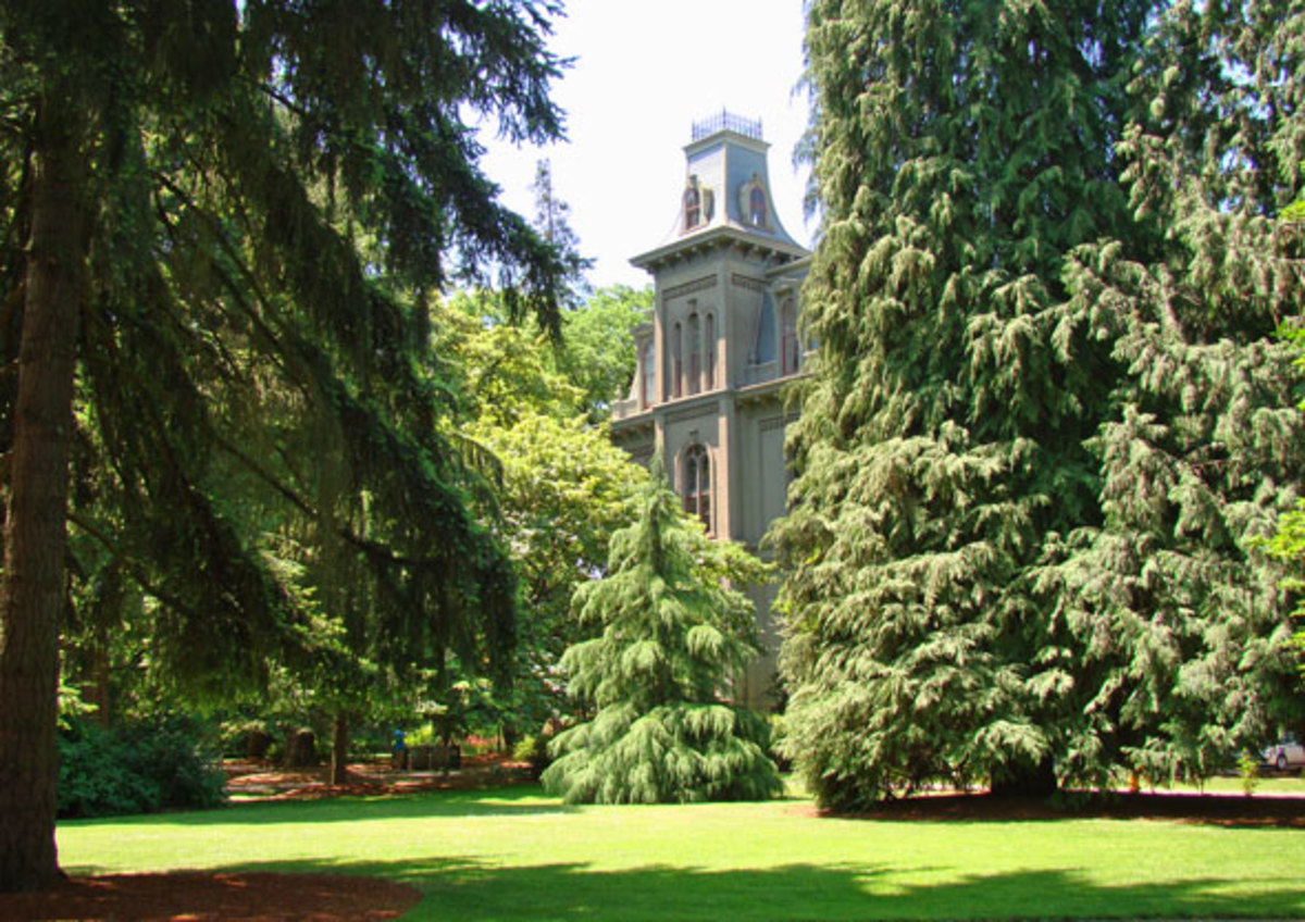 Free Things To Do In Eugene Oregon HubPages