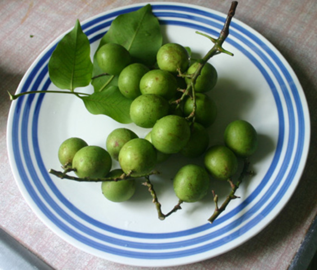 Genip or Spanish limes.