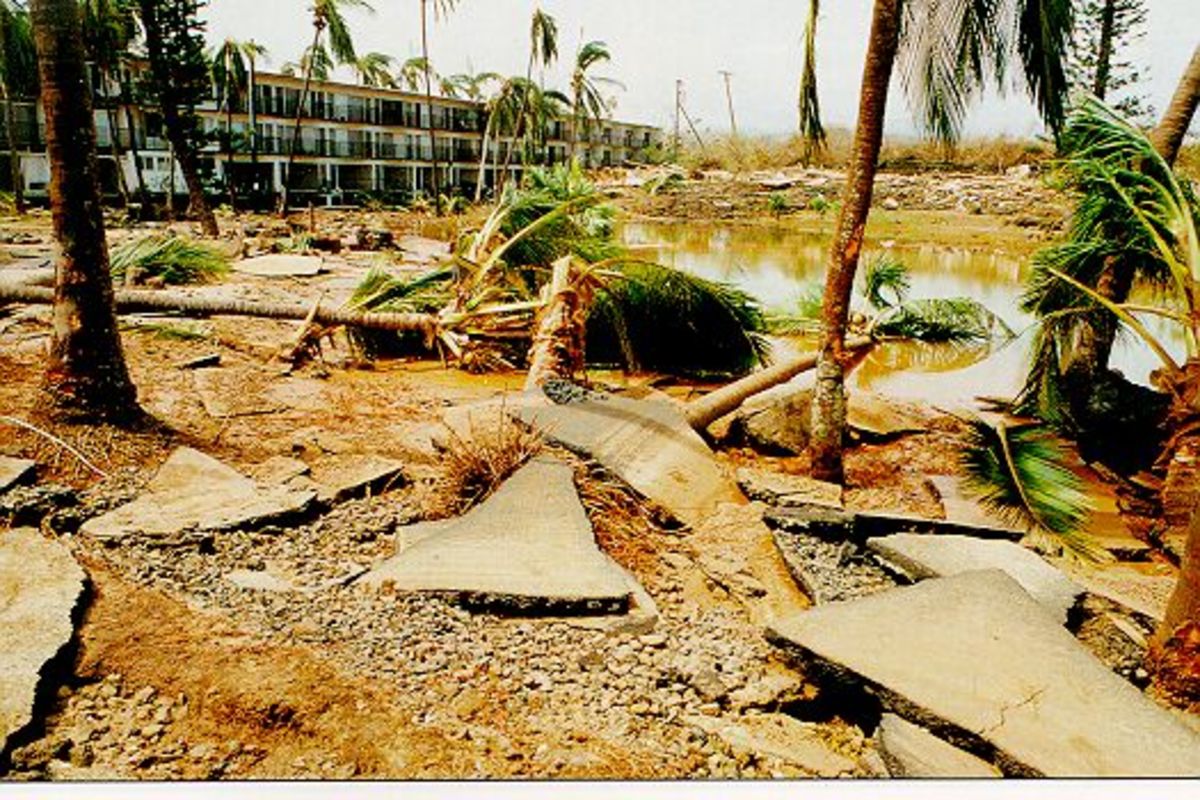 The ravages of hurricane Iwa.