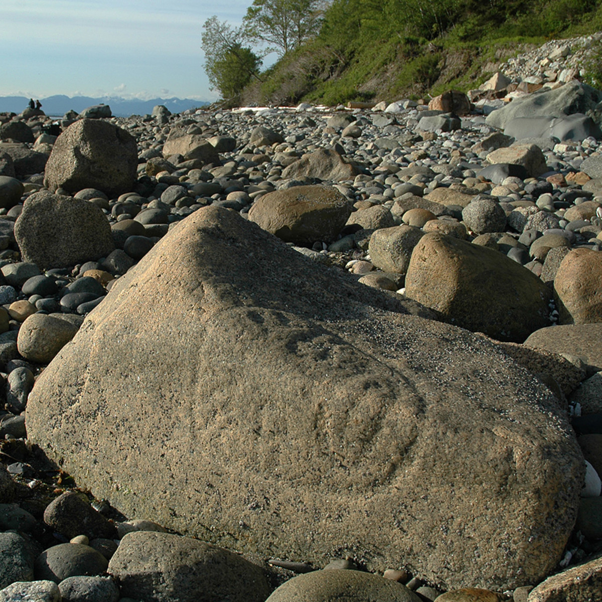 crescent-beach-bc-archaeological-site