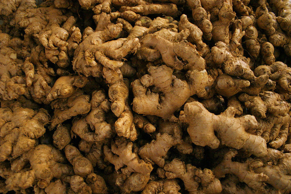 the-sixteen-amazing-nutrients-in-ginger