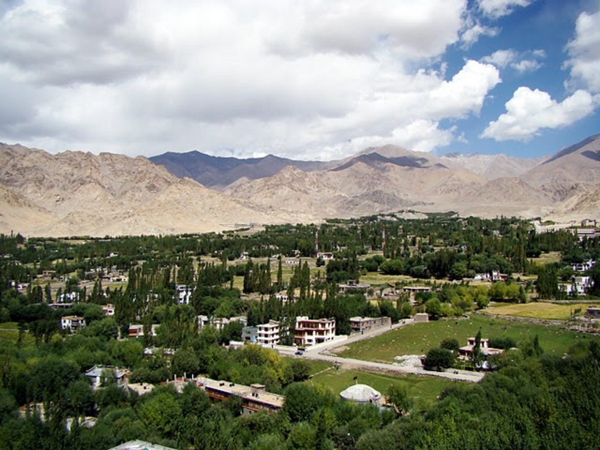 Explore the greenest part of Leh Ladakh
