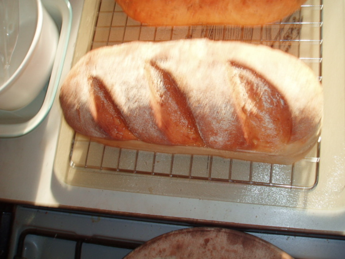 daily-bread