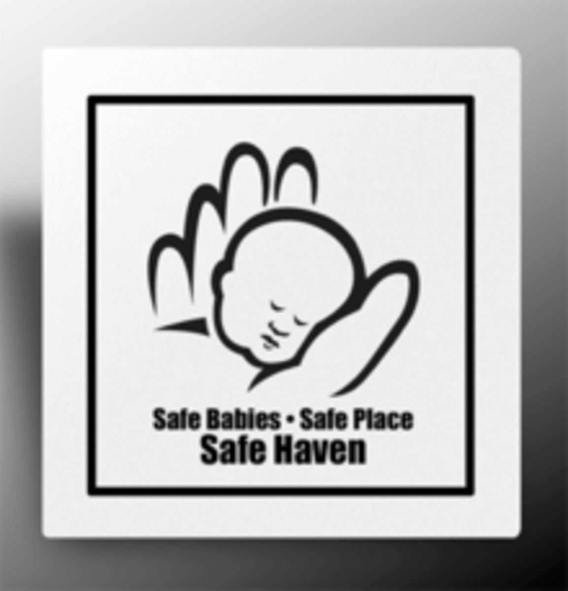 National Safe-Haven Logo