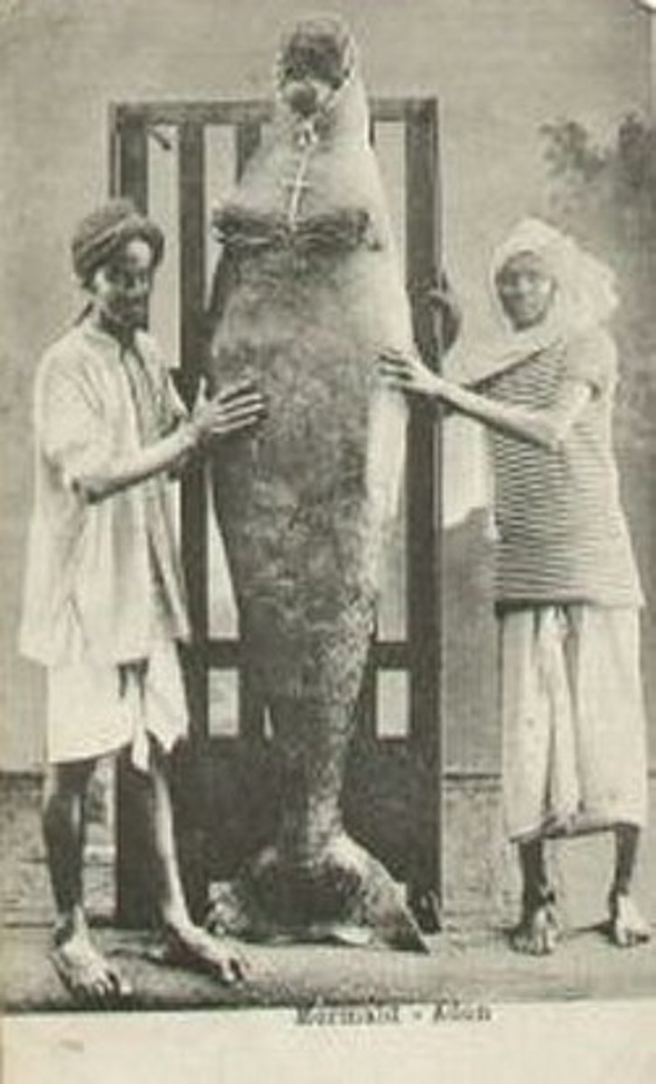 mermaid-mummies