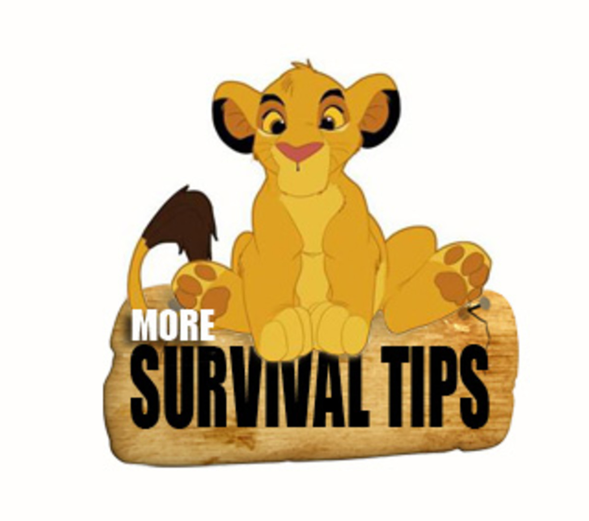 5-tips-to-survive-in-the-jungle