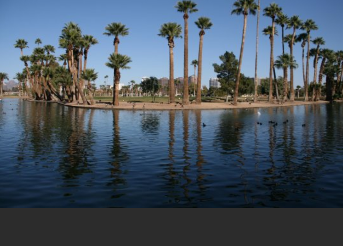 Fishing for Catfish and Trout in Urban Lakes of the Phoenix Metro Area