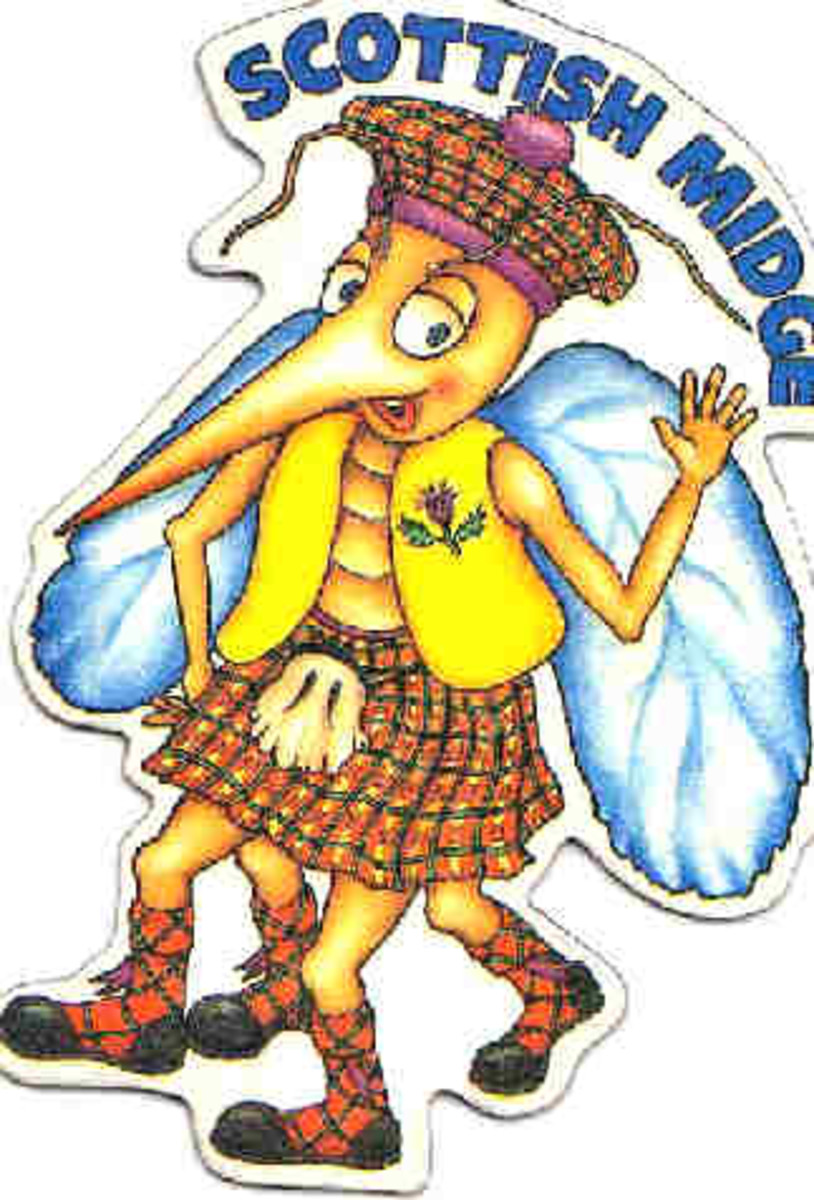 The Scottish Midge