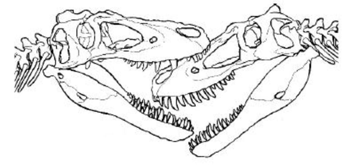 tyrannosaurusrex
