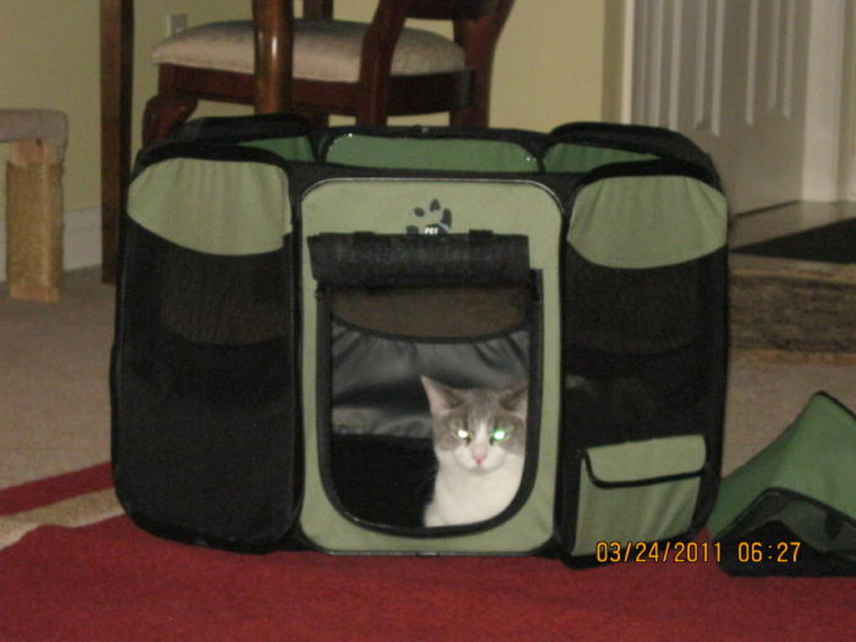 The Octagon Cat Pen available through Dr's Foster and Smith website... these things were lifesavers when we traveled across the country with our two cats, on the way out to Nevada!