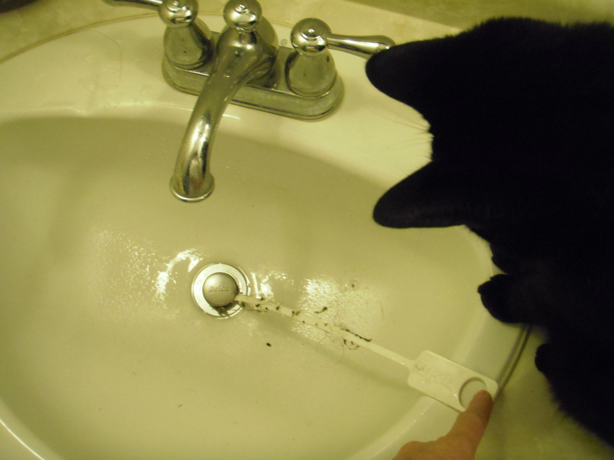 Unclogging Your Drain is so Quick, Easy and Inexpensive with a Zip-It, even your cat will want to help.