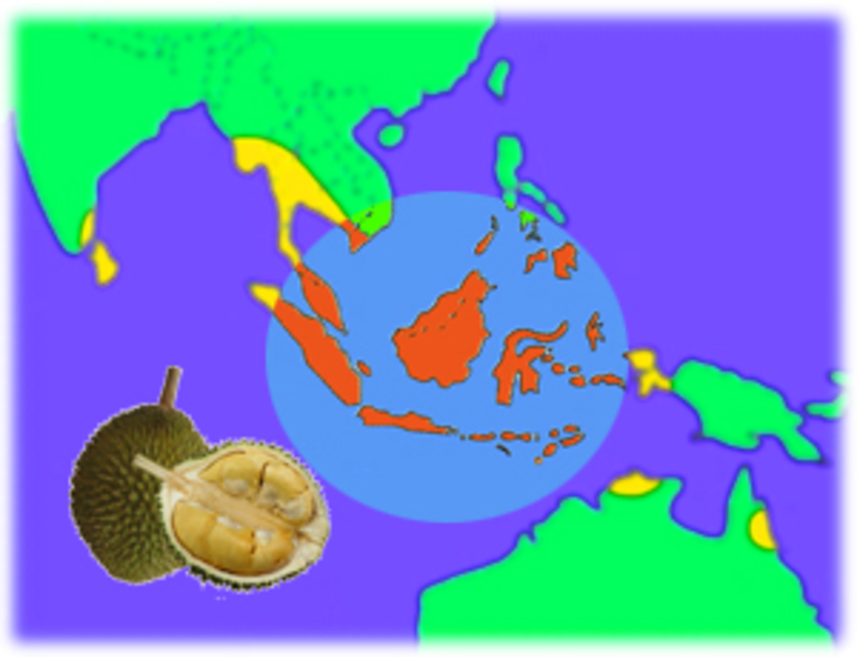 durian-symbol-of-mystique