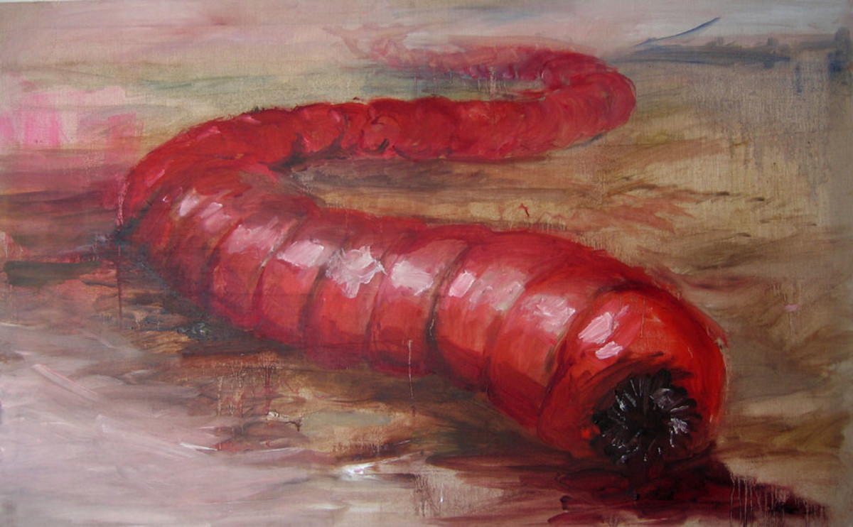 Olgoi-Khorkhoi (Allergorhai-horhai) – The Mongolian Death Worm of the Gobi Desert
