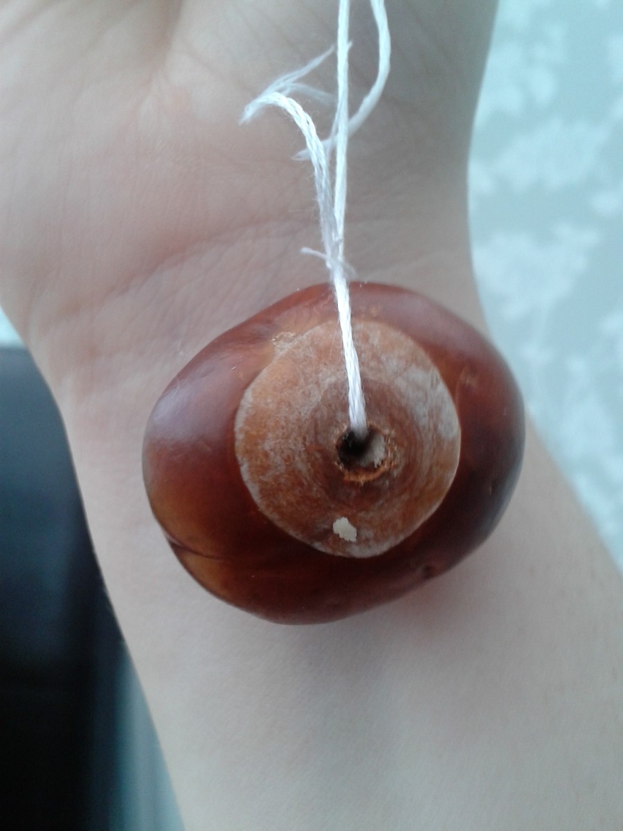 Playing Conkers