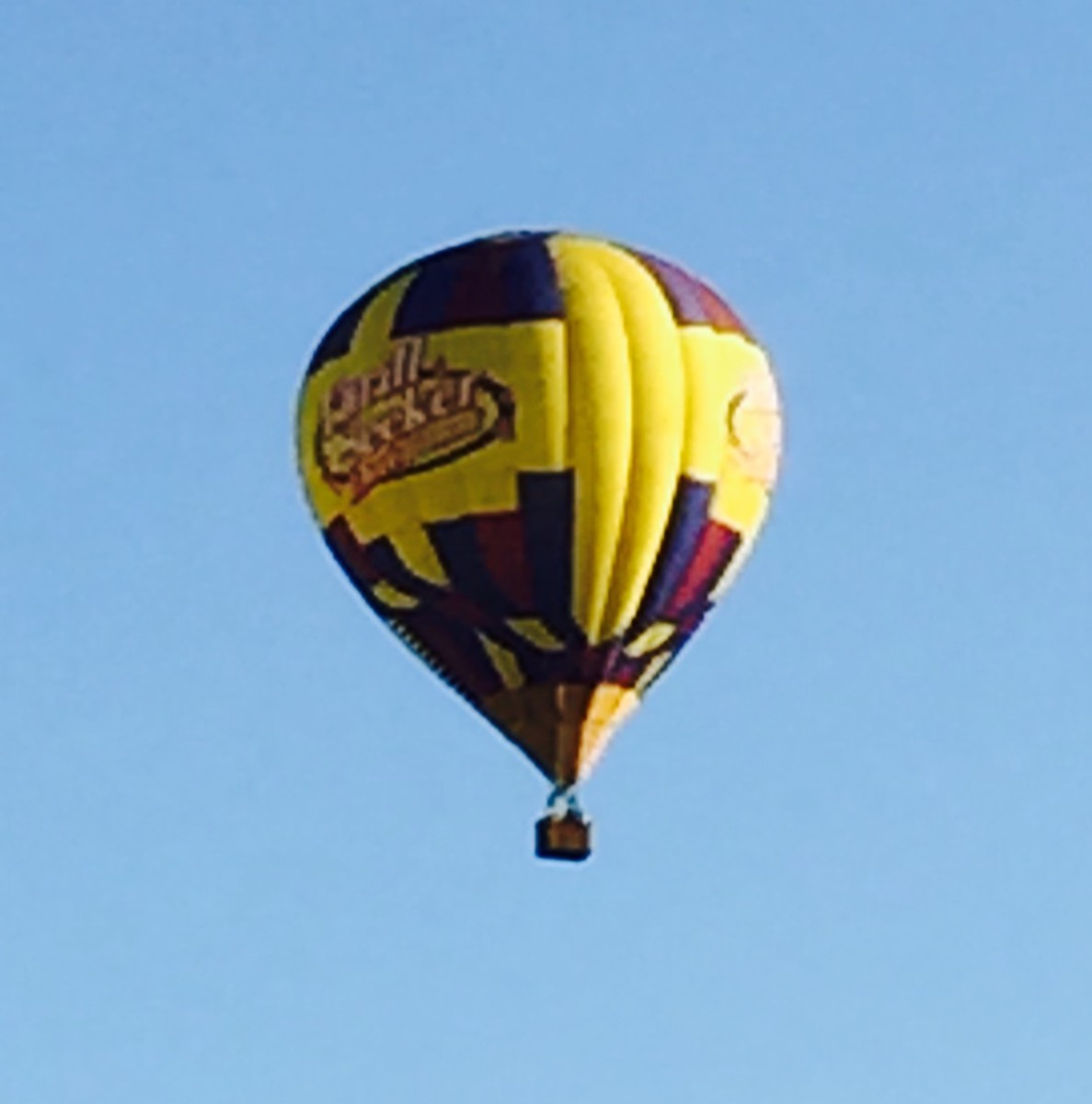 These Balloons floating over our campground near Orlando Florida are an example of the different things an RV owner will often see.