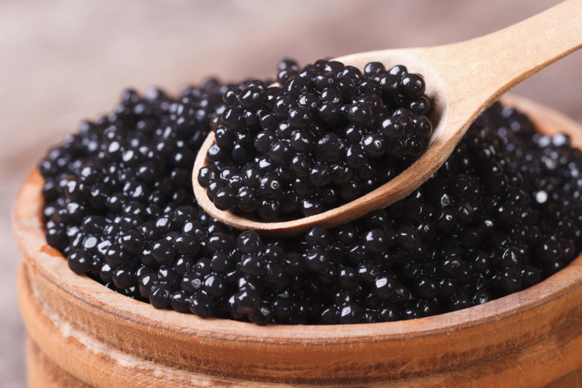 How to Start Sturgeon Caviar Farm HubPages