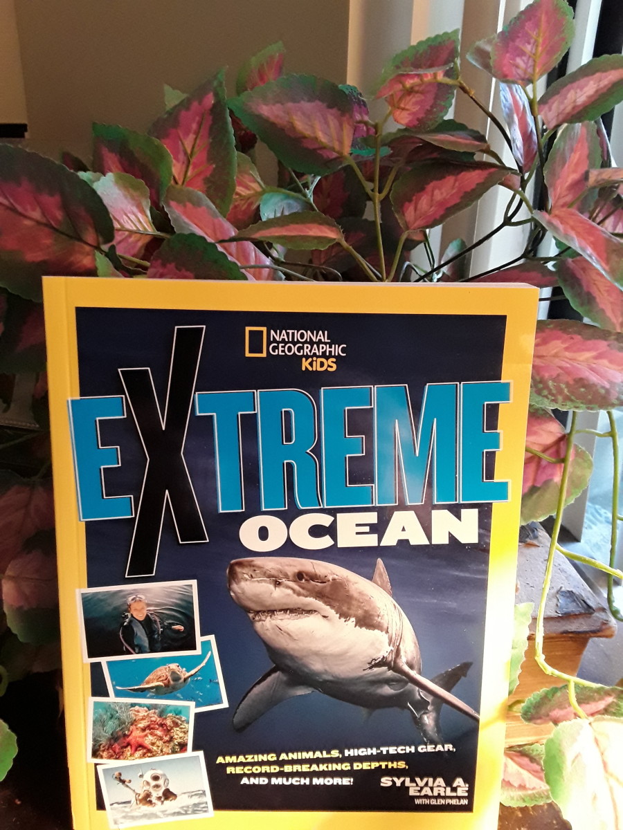 Our Oceans Are a Source for All Things Awesome in National Geographic Kids Extreme Ocean