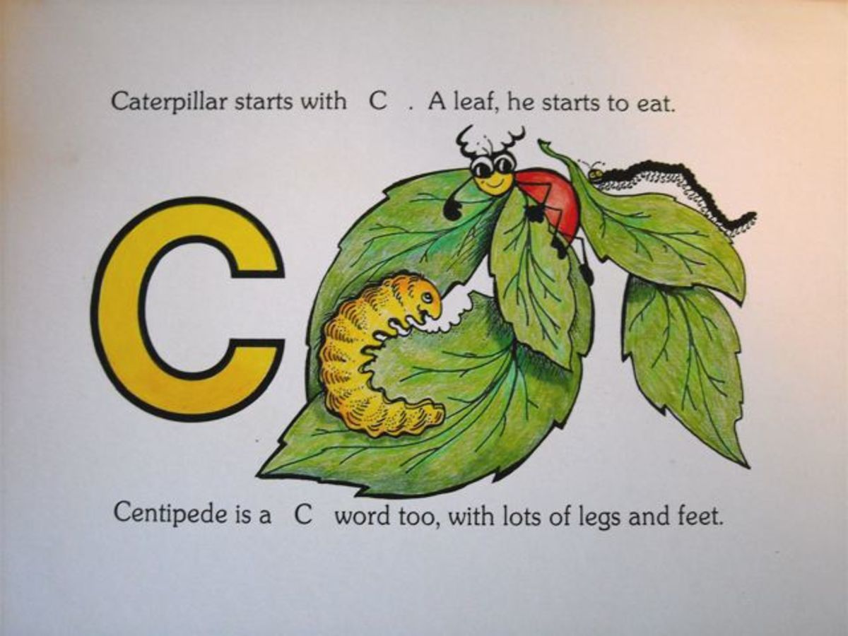 Caterpillar starts with C, a leaf he starts to eat. Centipede is a C word too, with lots of legs and feet."