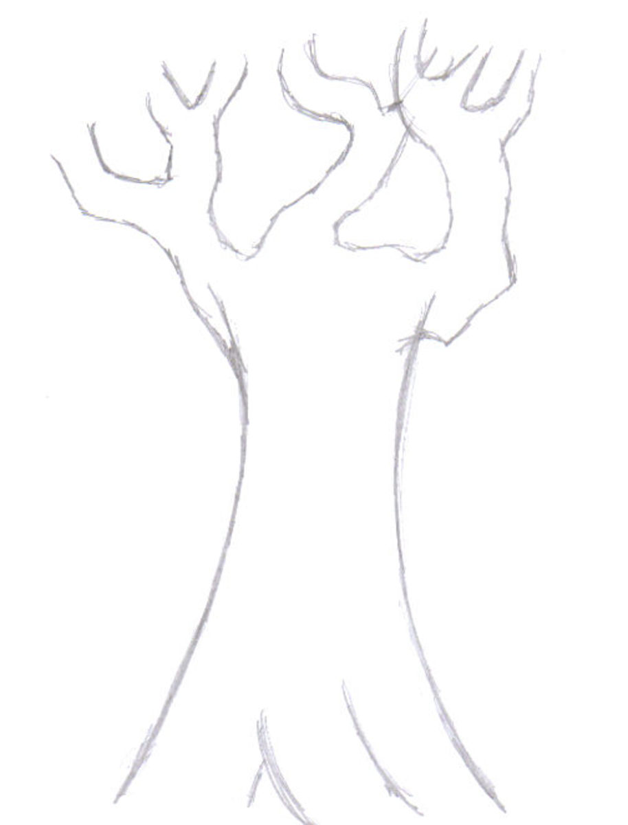 Drawing Trees: How To Draw A Tree Step By Step - Hubpages