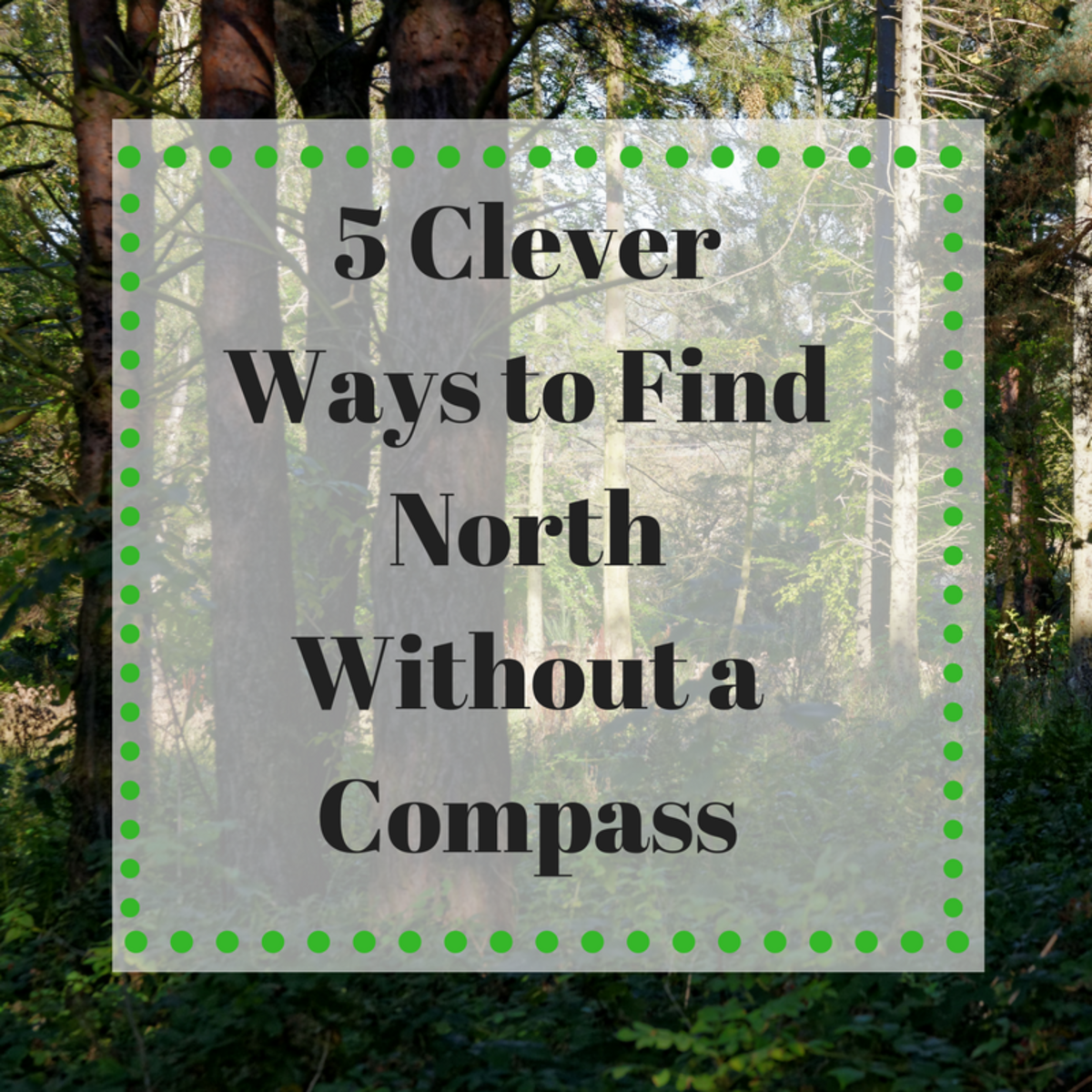 Where is North? 5 Ways to Find North (Or South) Without a Compass