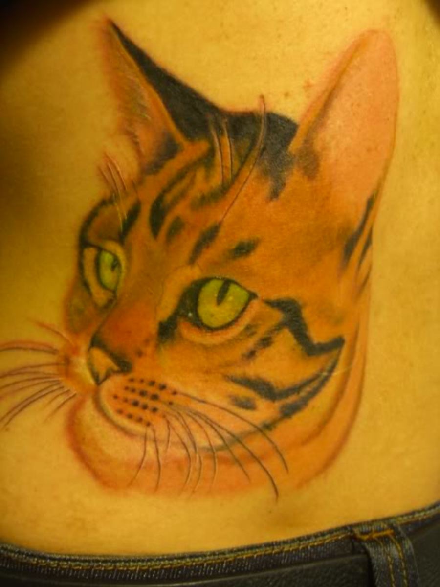 This is a beatiful tattoo of a cat.  The eyes remind me of my cat's eyes.