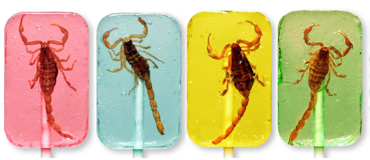 Creepy Crawly Insect Infested Lollipops