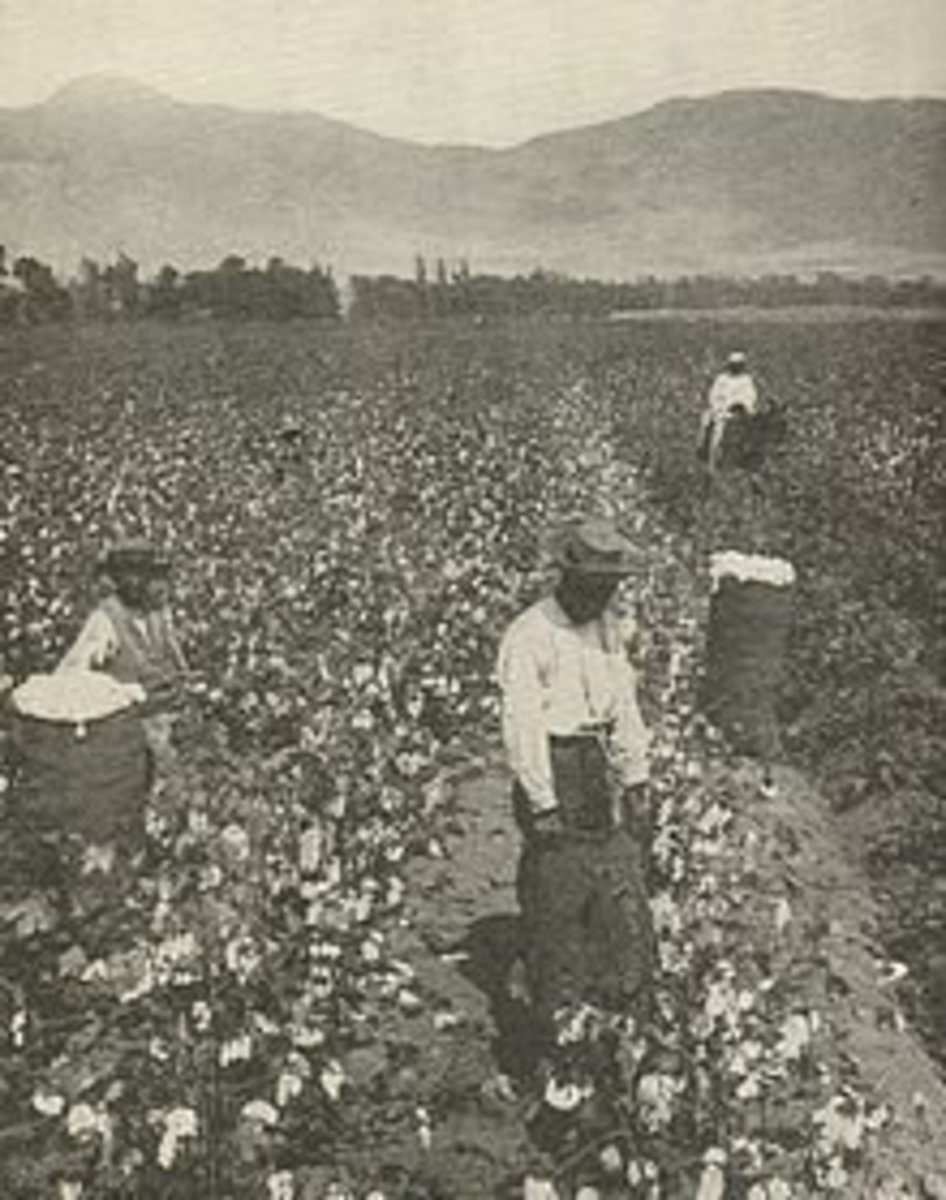 Southern cotton plantation
