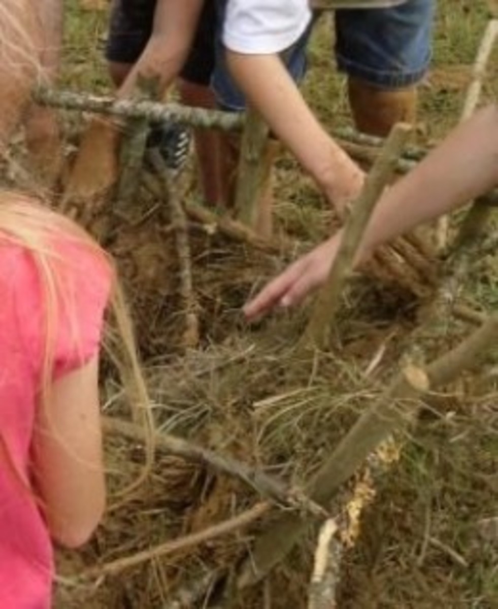 Building a Jamestown-style waddle and daub house during Lesson 1: Jamestown Lesson