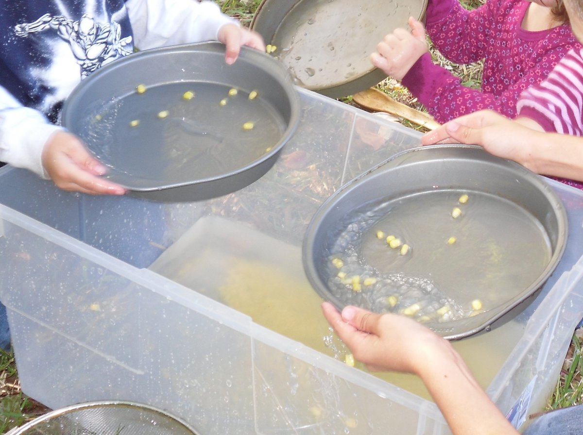Panning for gold activity