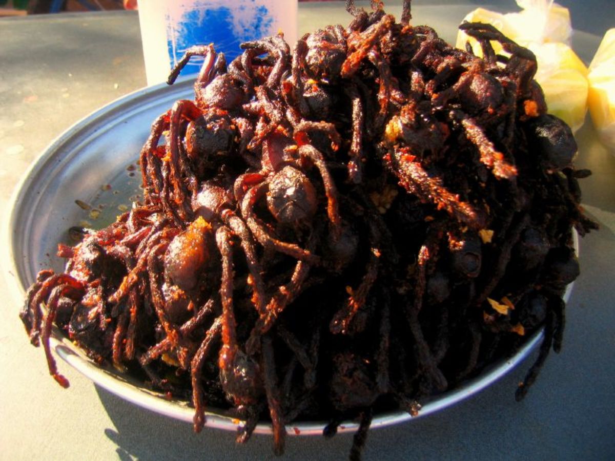 fried spiders