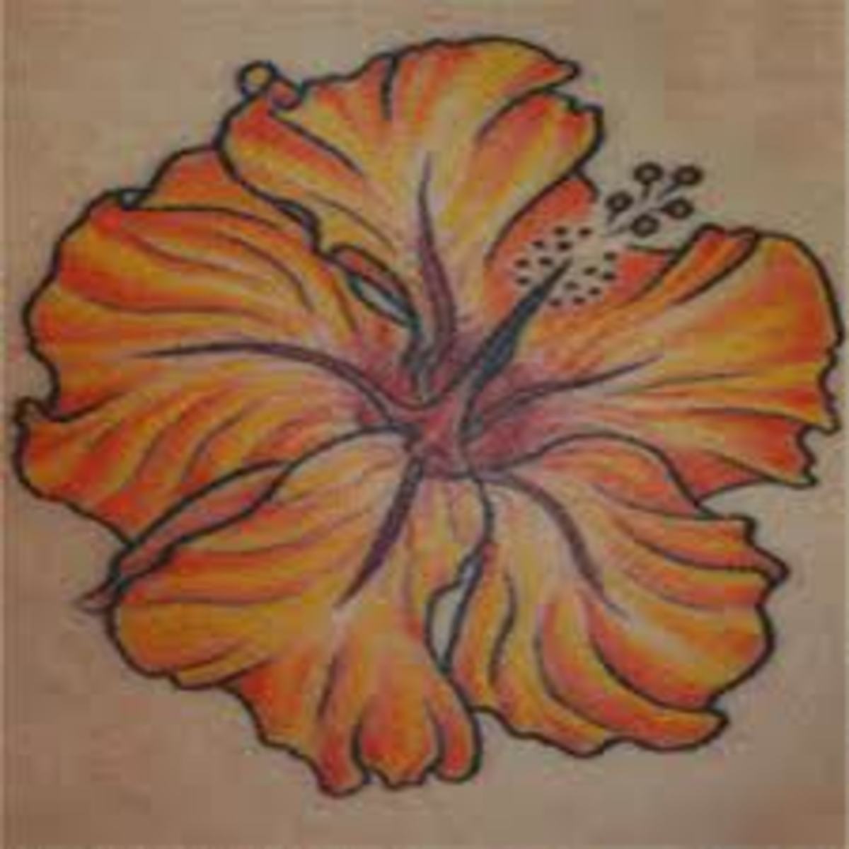 Black and gray Peony, Hawaiian/island flower, and other flower tattoo  inspiration | Tattoos, Half sleeve tattoo, Body art tattoos