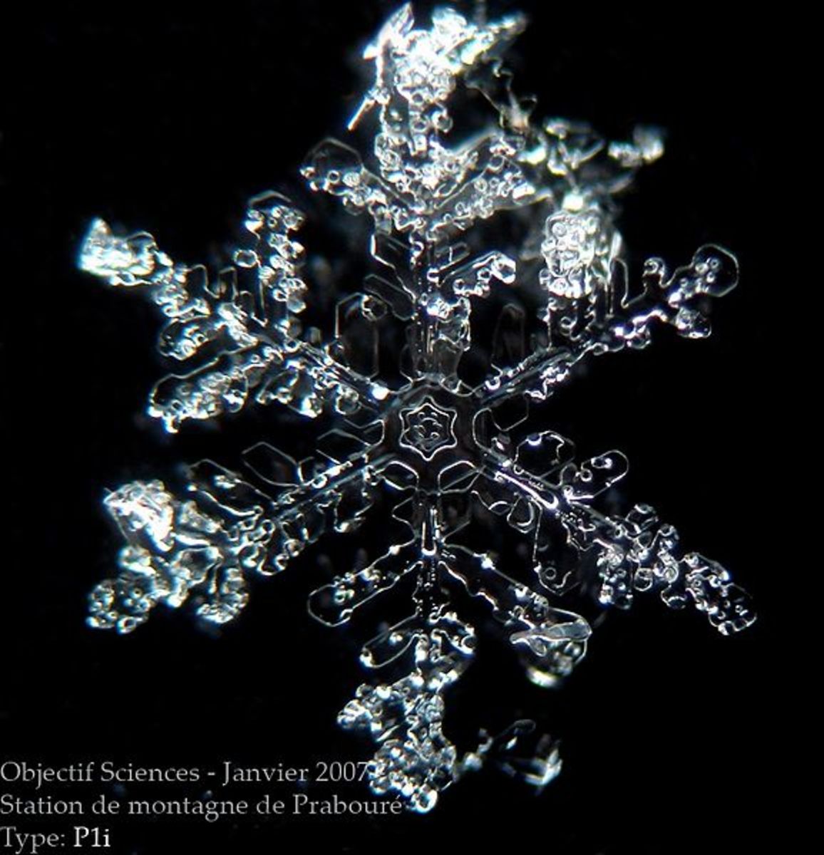 Basic Structure and Formation of Snowflakes