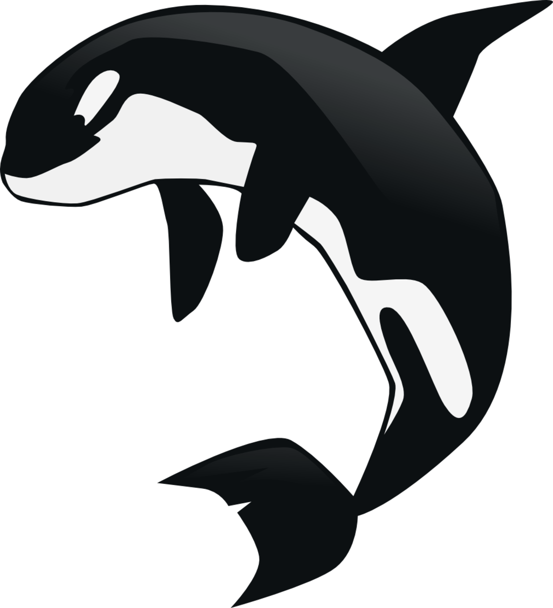 the orca