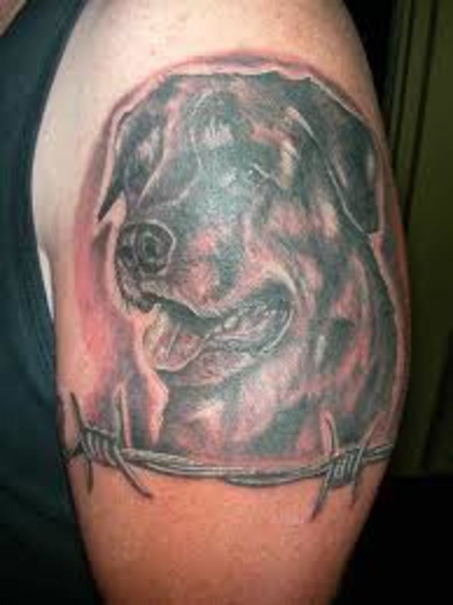 rottweiler-tattoos-and-meanings